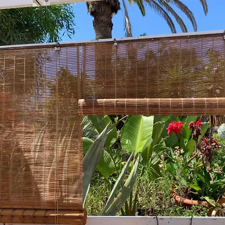 Family In With Pool Apartment *